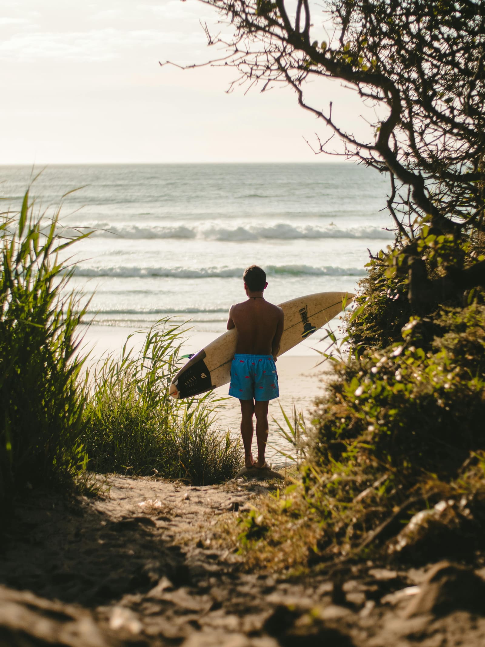Reading the waves before diving in — MyoApp AI assessment